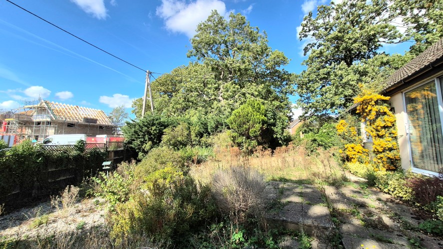 Lot Image
