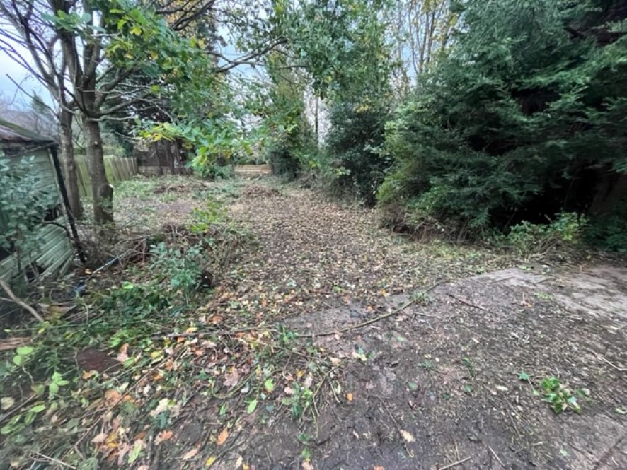 Lot Image