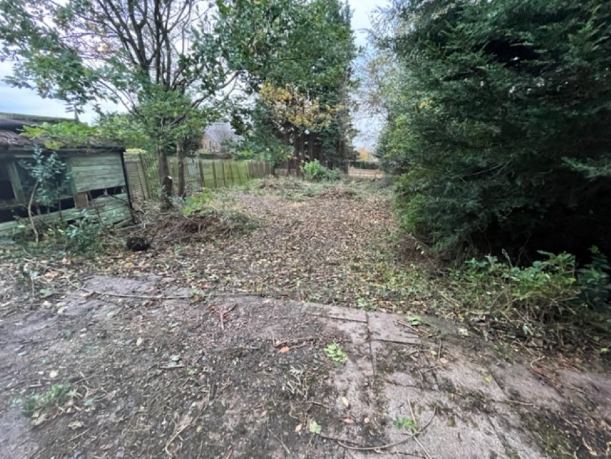 Lot Image