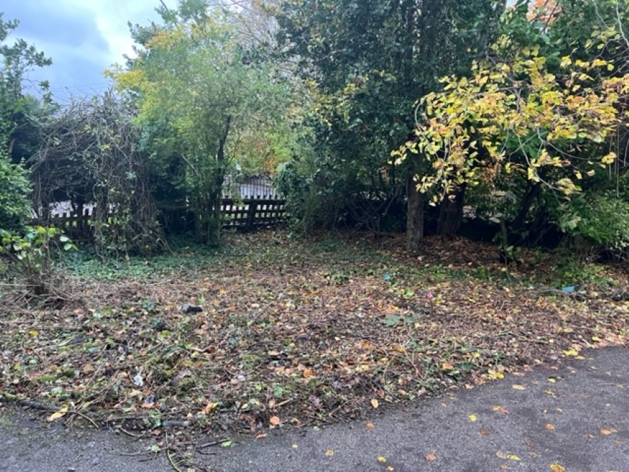 Lot Image