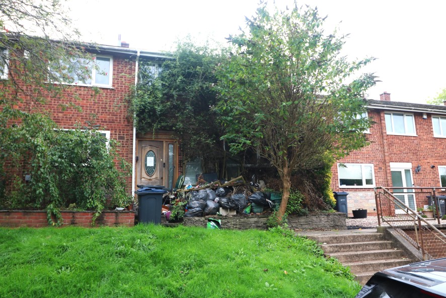 Lot Image