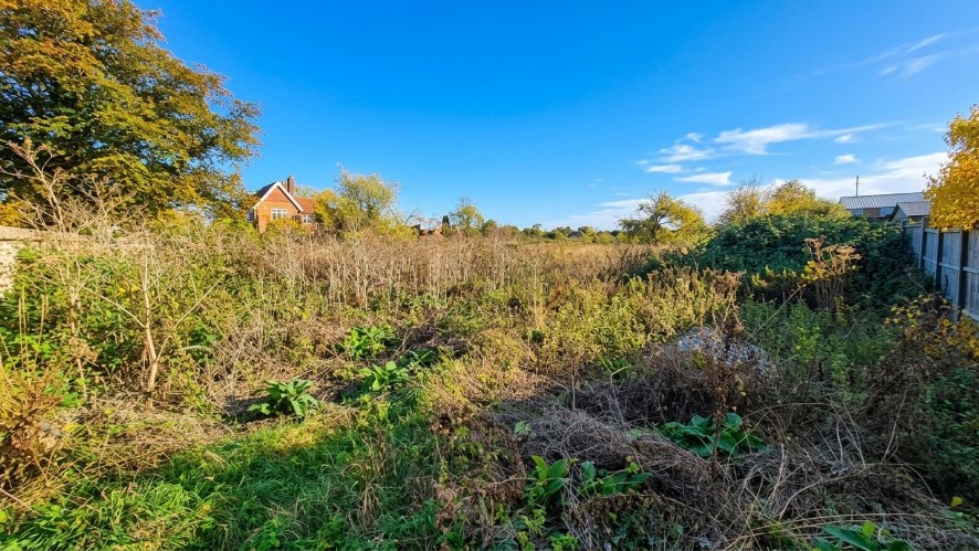 Lot Image