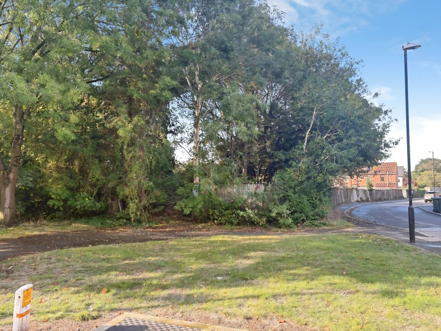 Lot Image