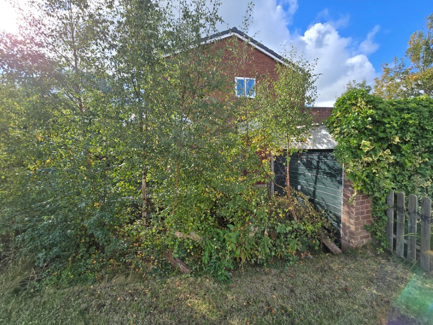 Lot Image