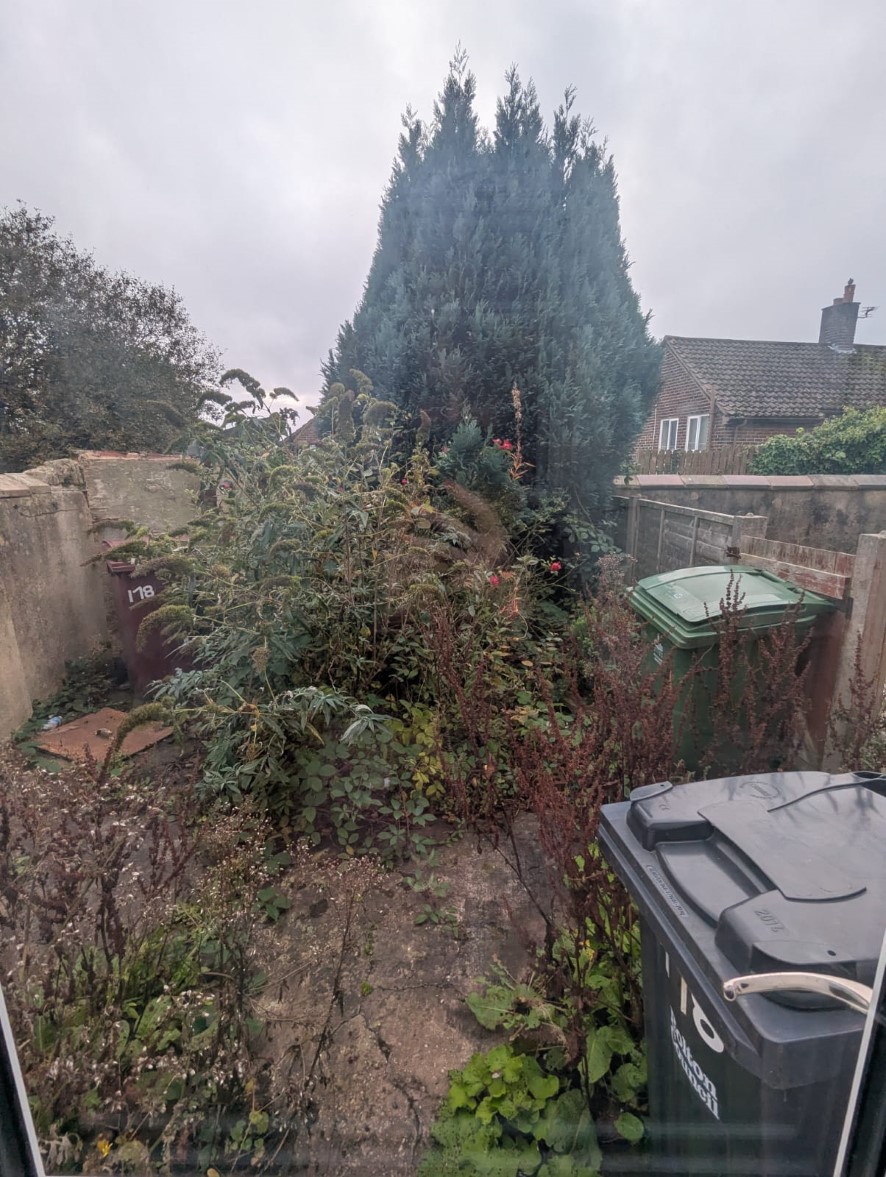 Lot Image