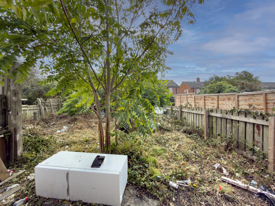 Lot Image