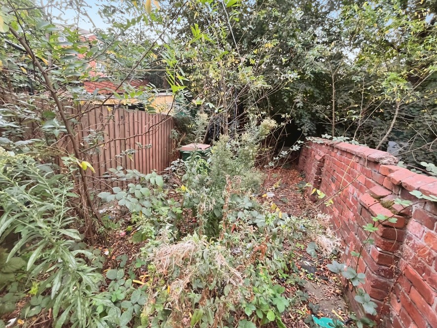 Lot Image