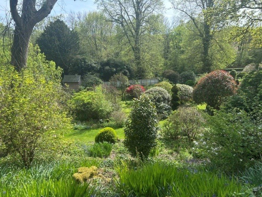Lot Image