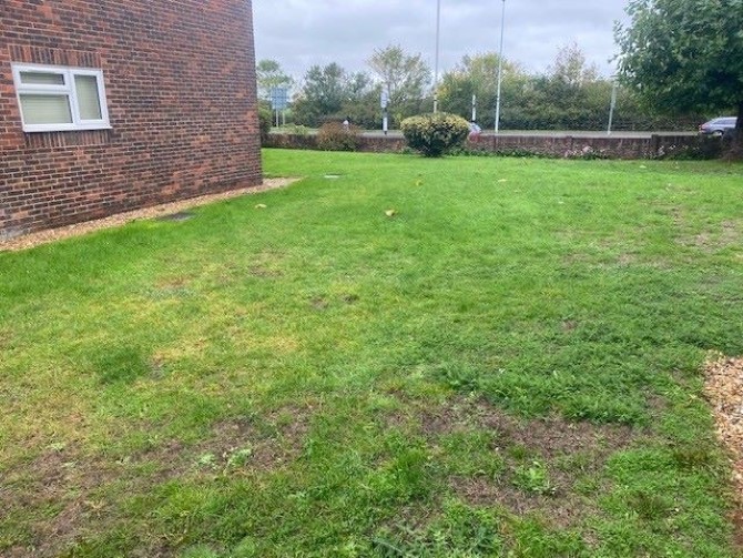 Lot Image