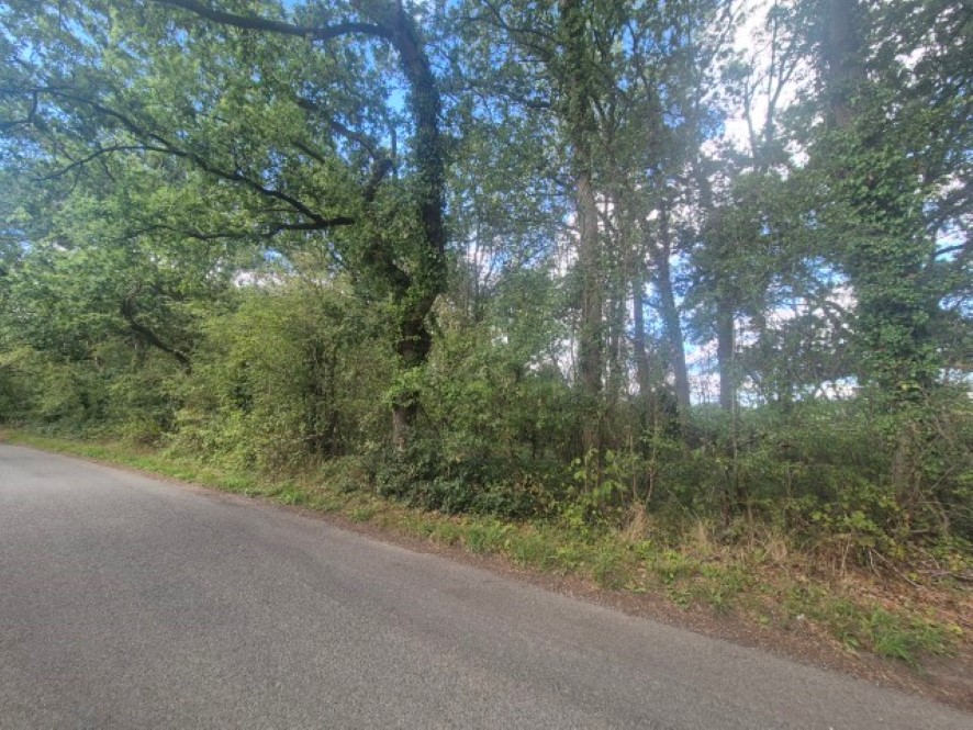 Lot Image