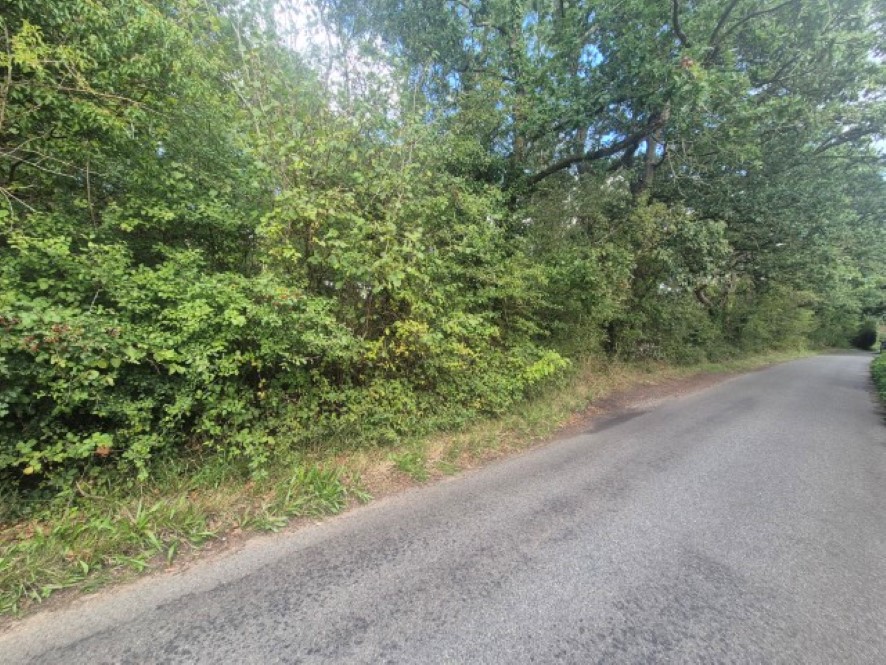 Lot Image
