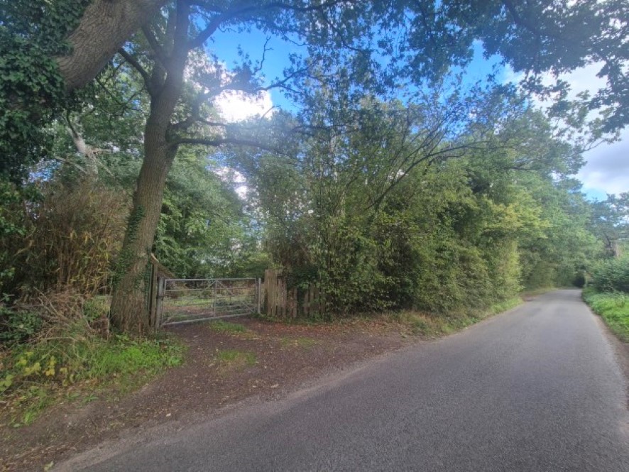 Lot Image