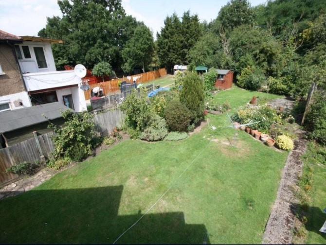 Lot Image