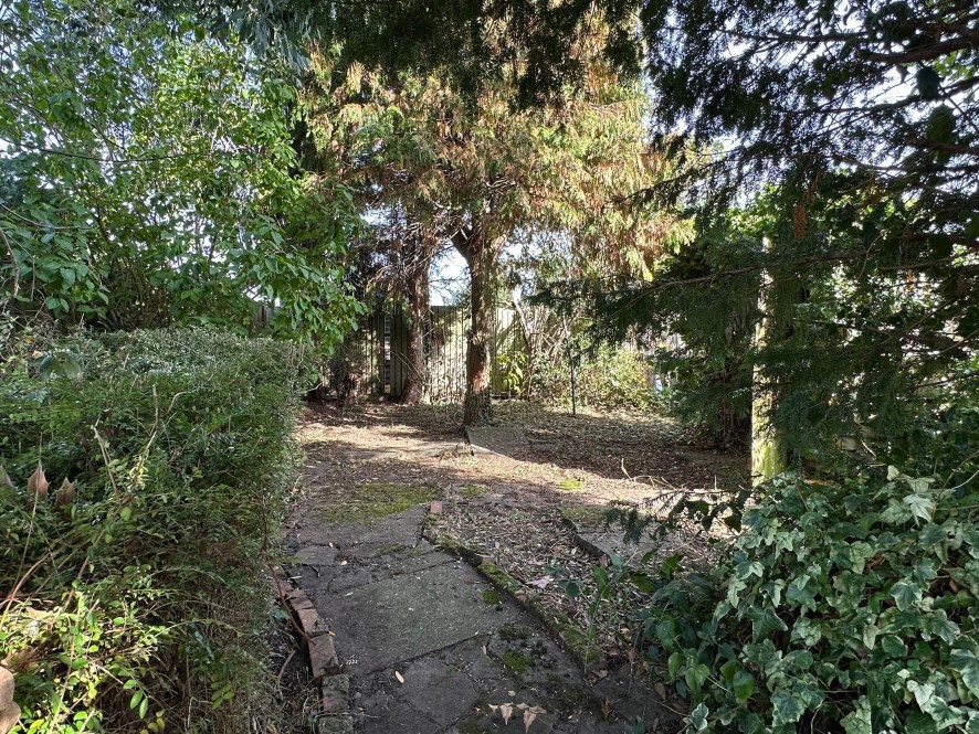 Lot Image